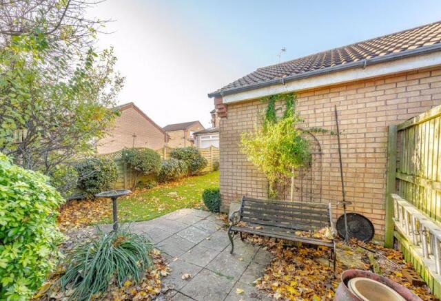 Back Garden