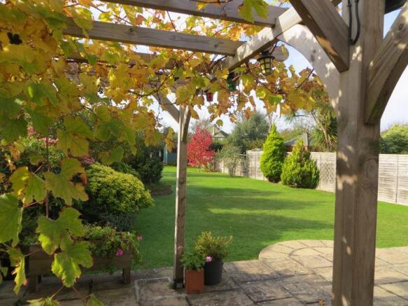 Garden in Summer
