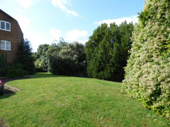 Garden.JPG
