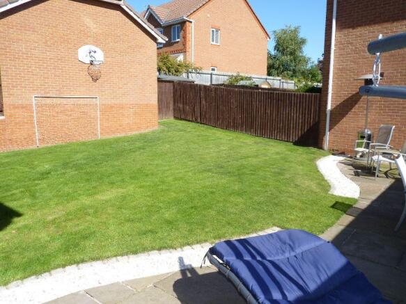 Photo 11