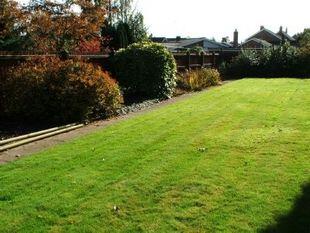 Rear Garden Picture