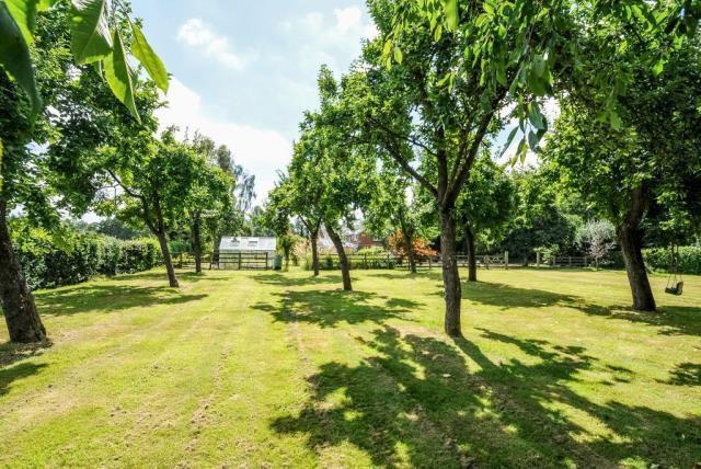 Orchard