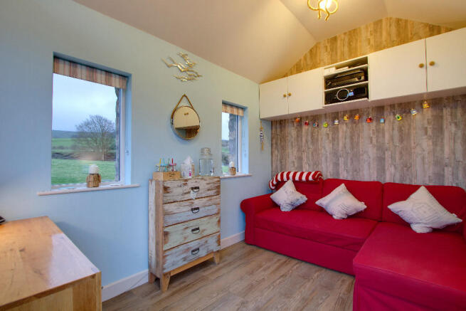 Office/cinema room