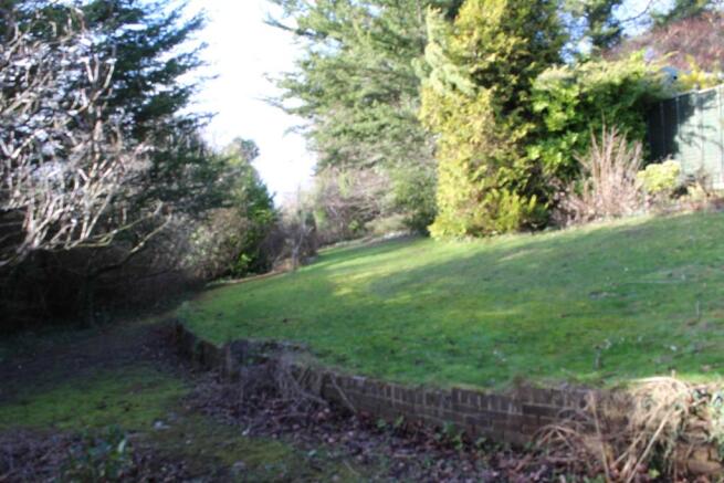 Garden 2