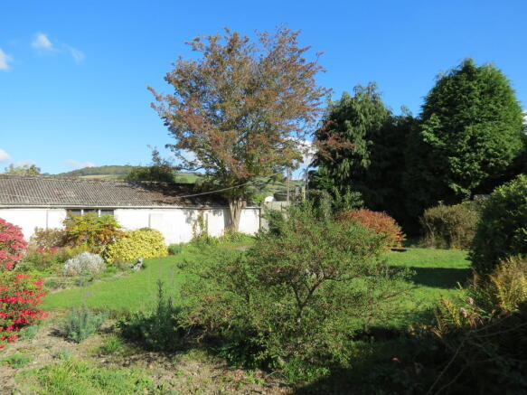 Rear Garden 2