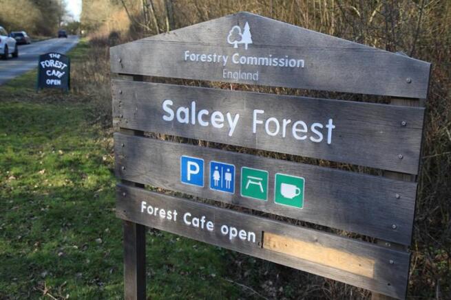 Nearby Salcey Forest