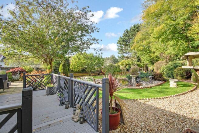 Garden at Back