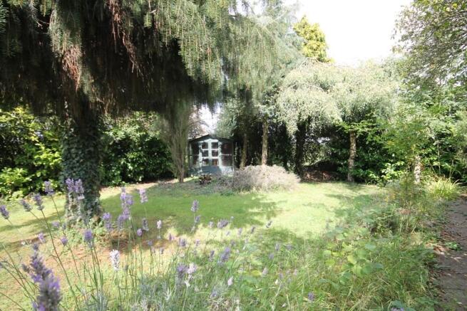 Garden 2