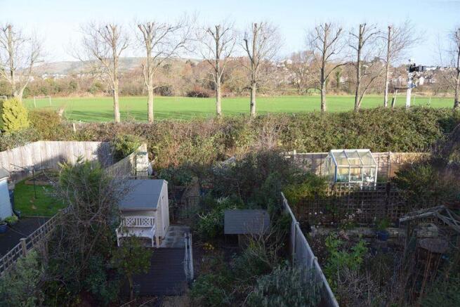 Back garden 