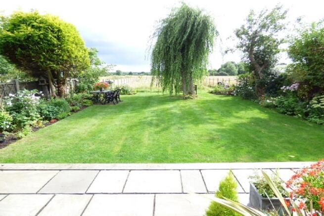 Garden 1