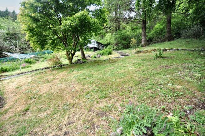 Back Garden