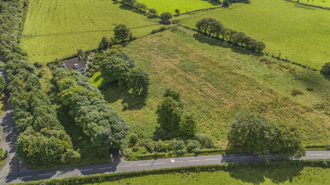 30-print-Hillcres...