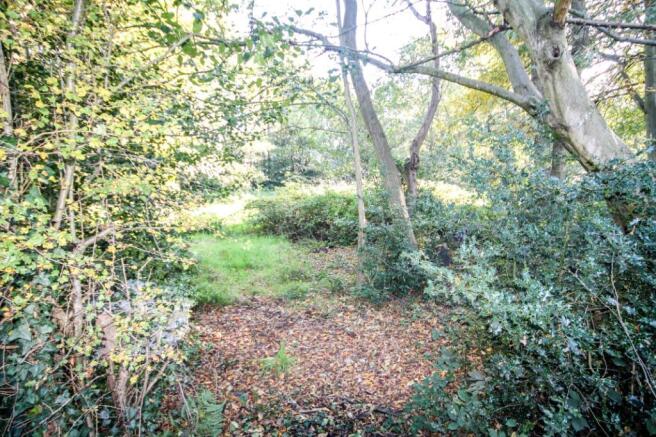 Backs Onto Woodlands