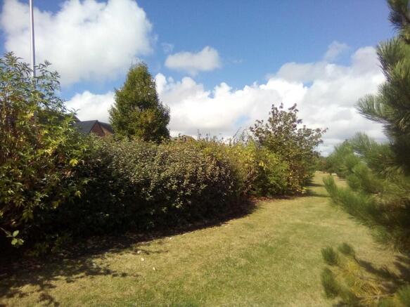 Photo 30
