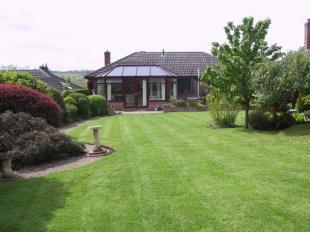 Rear Elevation