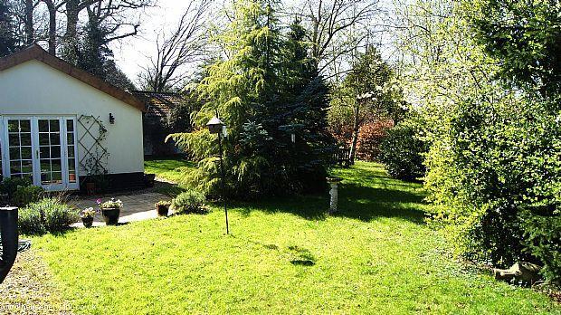 Photo 29
