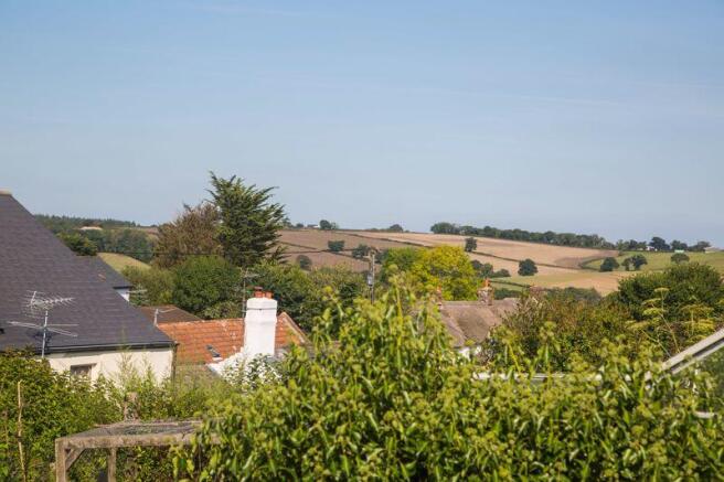 View from garden