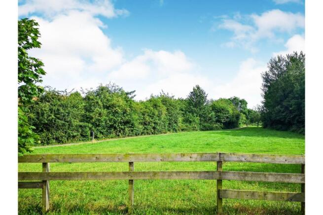 Field