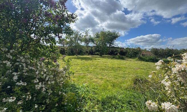 Side paddock
