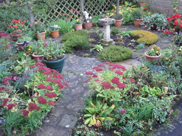 Front Garden