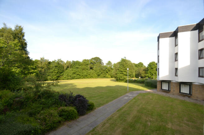 Racecourse View