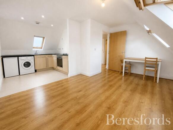 Kitchen/Living Area