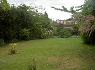 Garden Photo 1