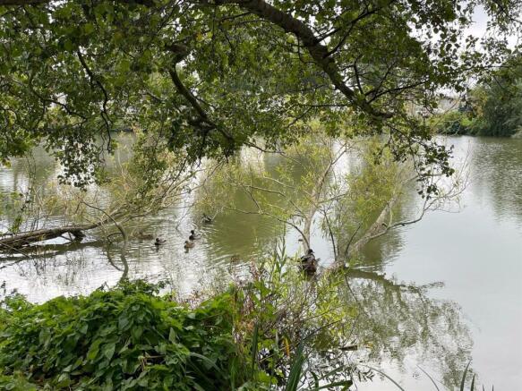 Lake.jpg