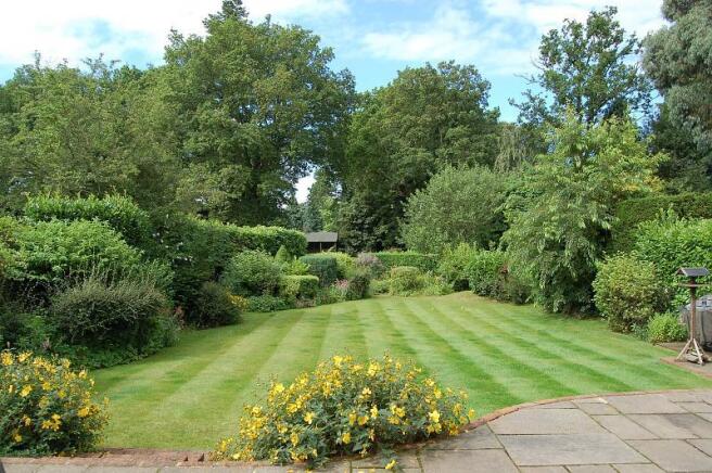garden