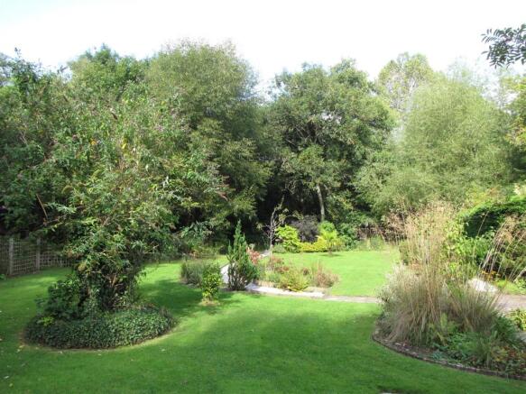 Garden 4.JPG