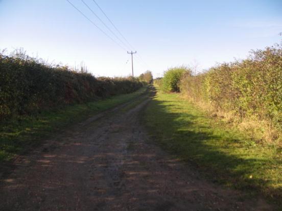 Track