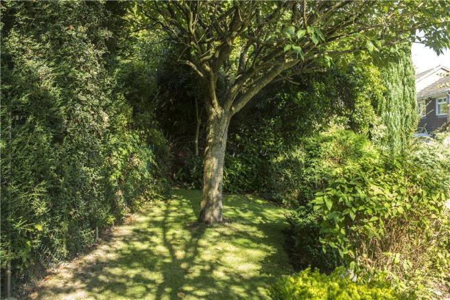 Garden View 2