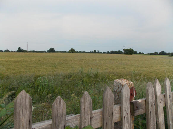 Field view to rea...