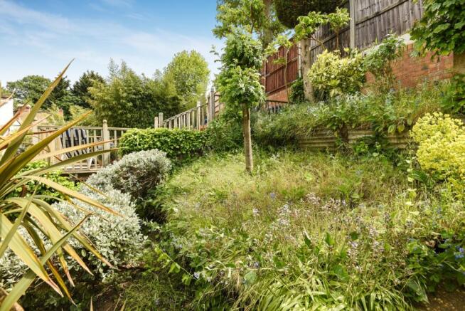 Garden 1