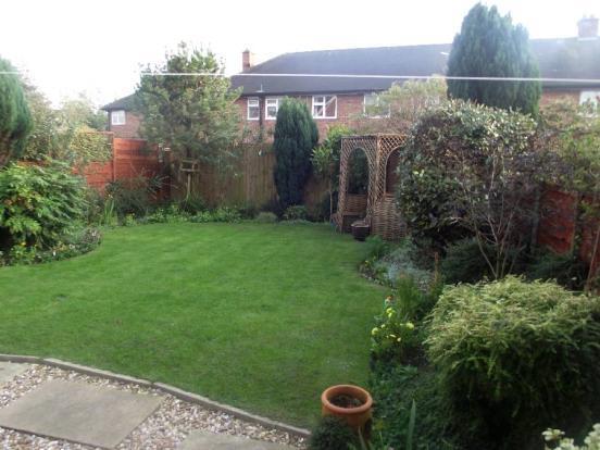 Garden 1