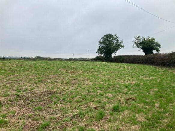 WhatsApp Image 2024-12-13 at 13.01.13.jpeg