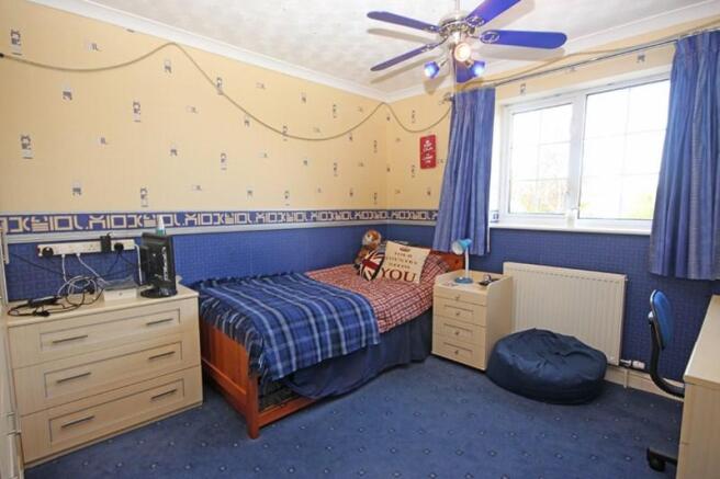 Photo 11