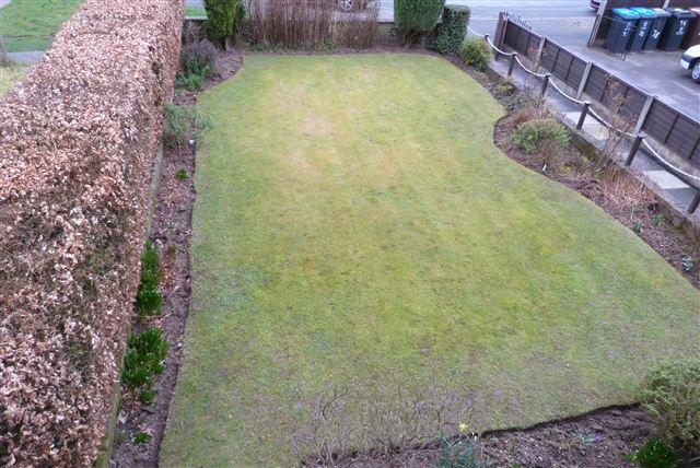 front garden elevated