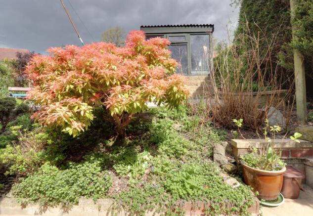 Back garden 5