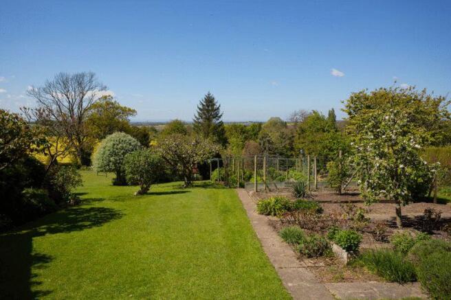 vegetable garden