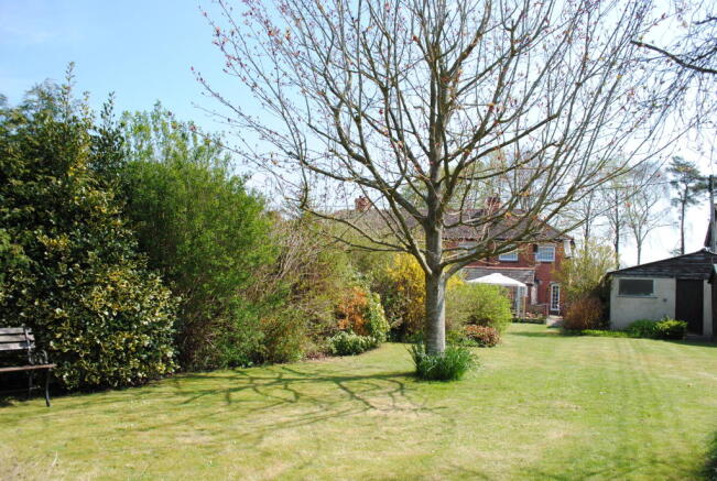 Photo 13