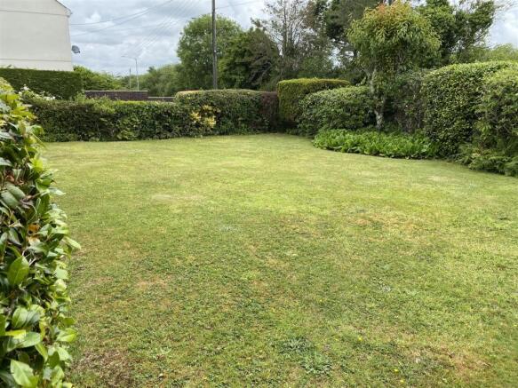 garden 3.JPG