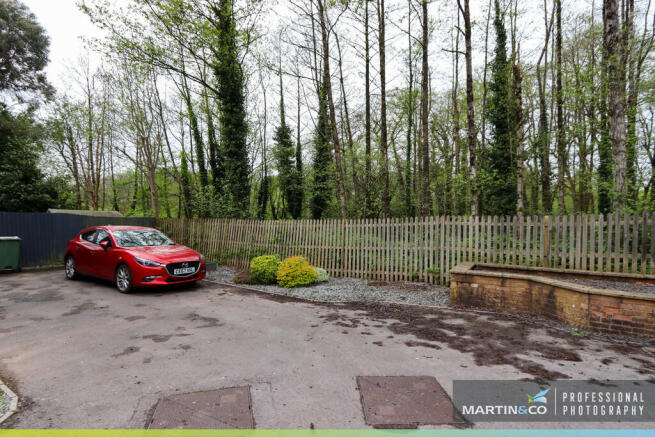 IMG_7704