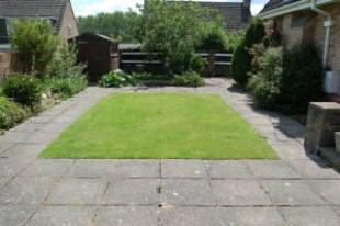 Photo 7