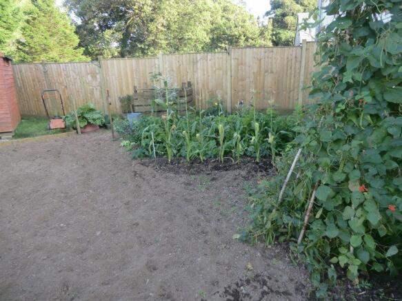 Vegetable Area
