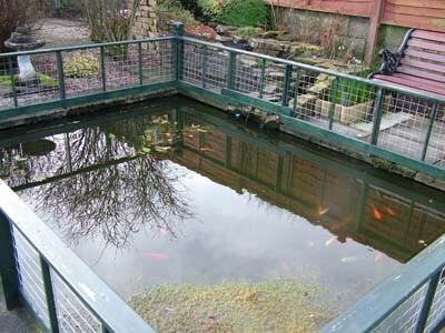 Pond