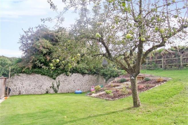 Garden new