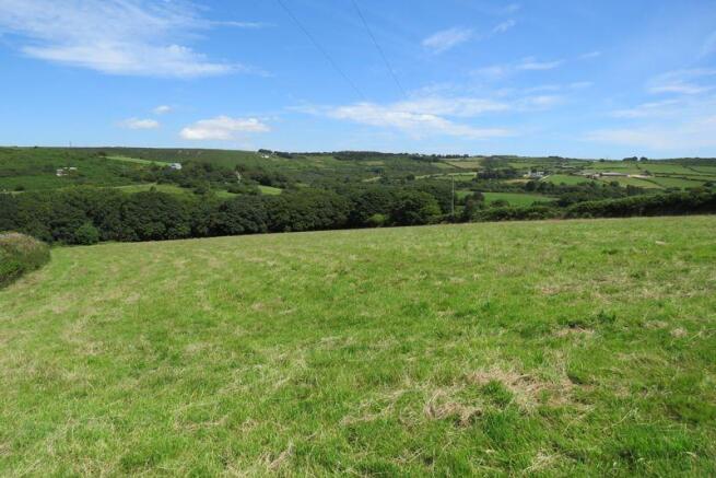 Field
