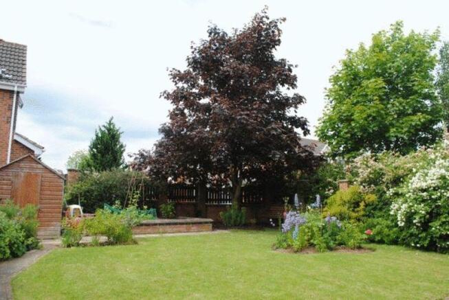 NEW GARDEN (26.06.