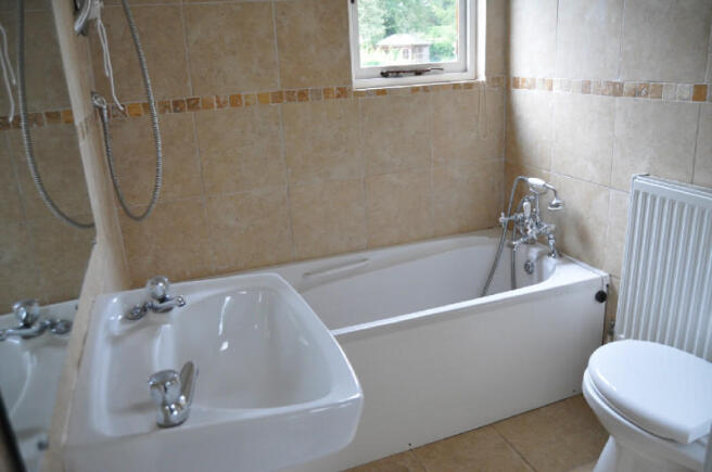 Picture 11